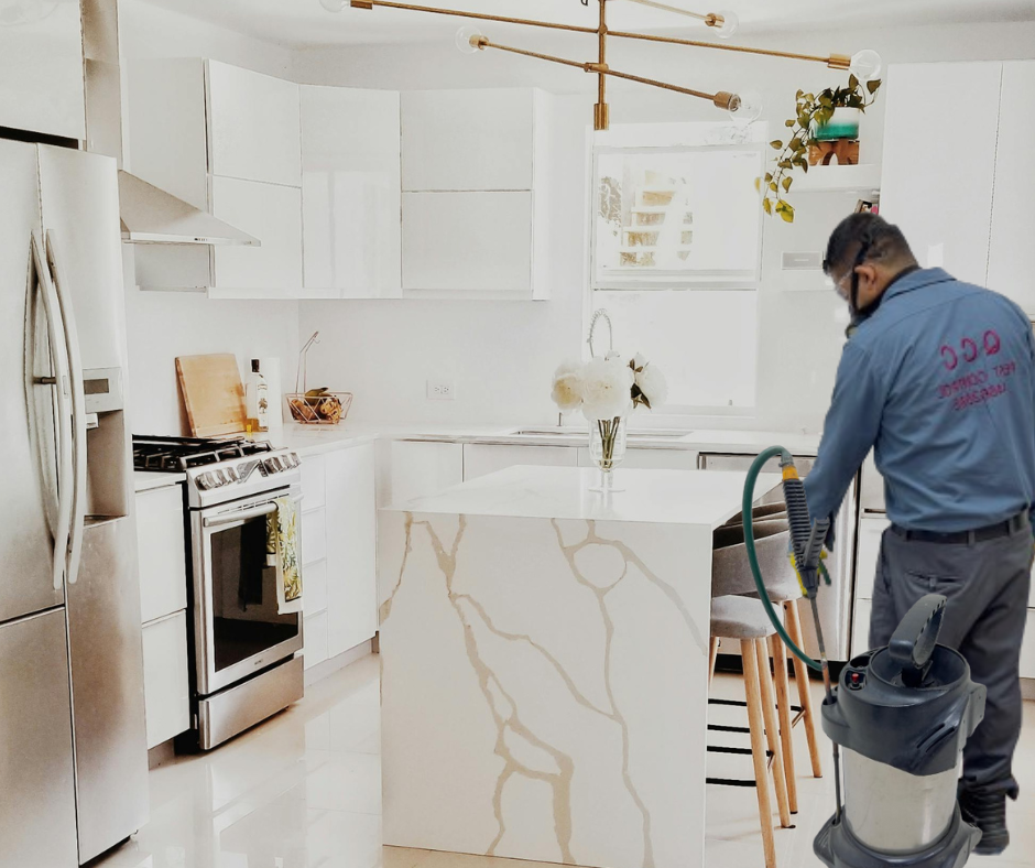 Pest Control Qatar