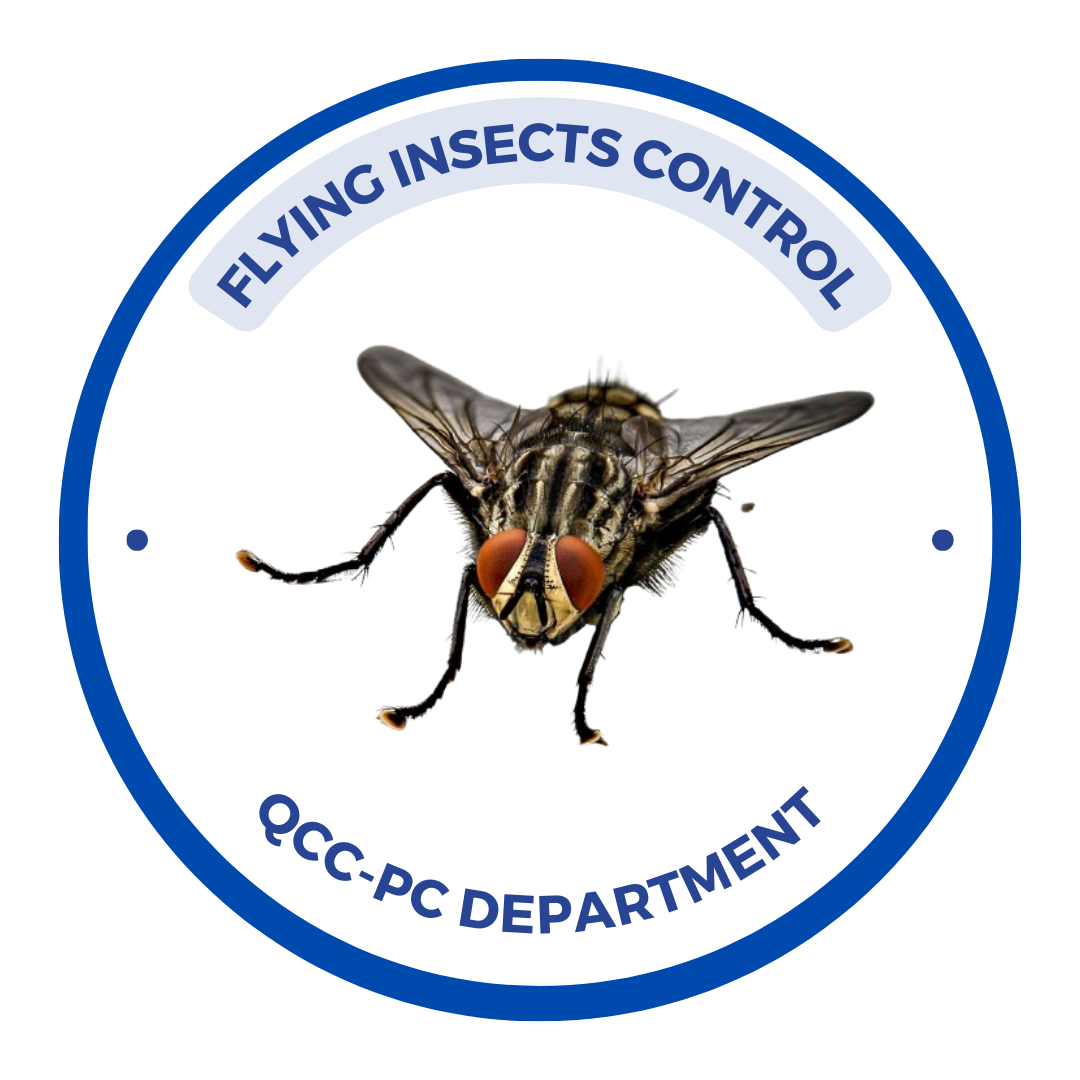 Flying Insects Qatar