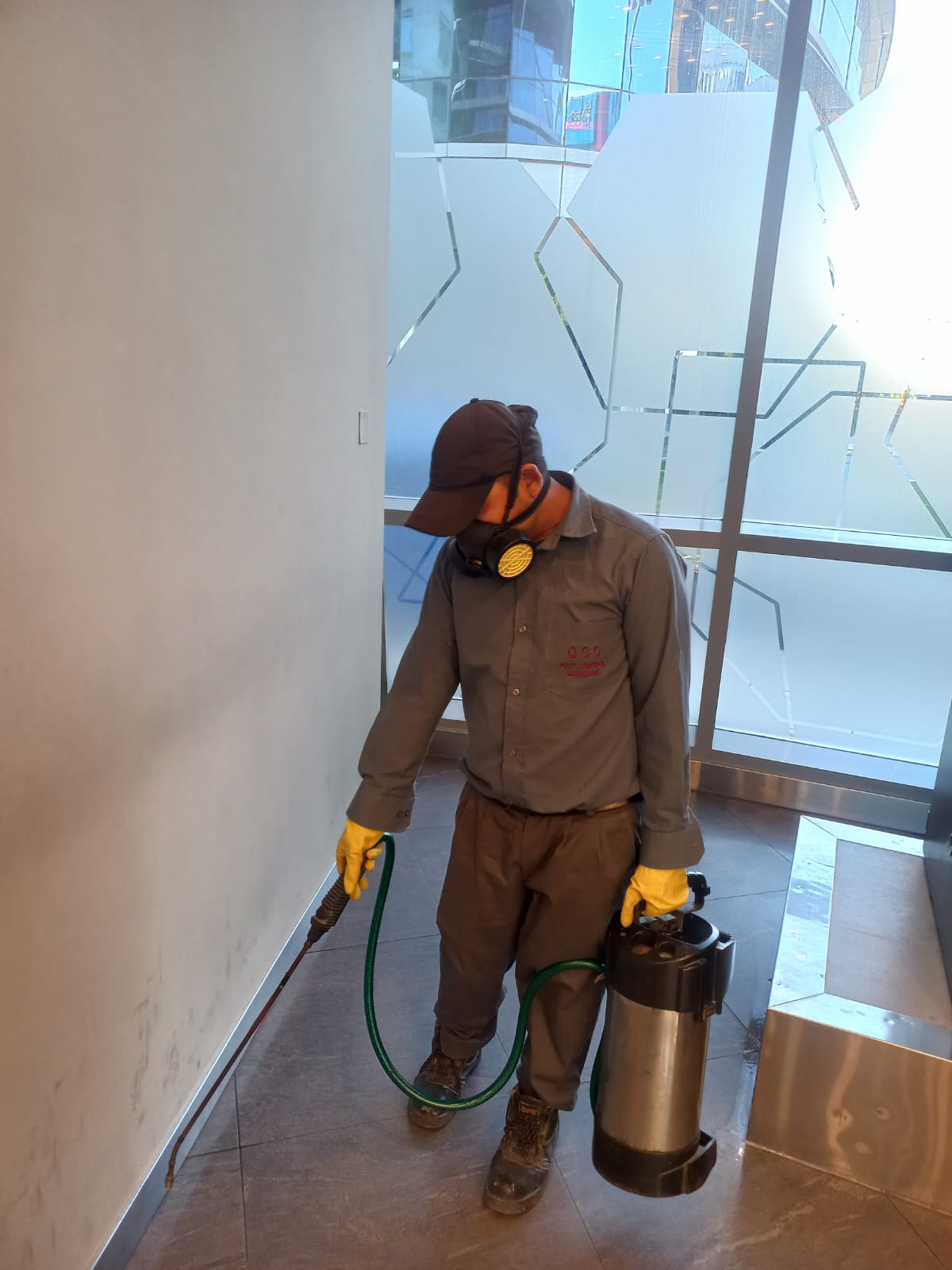 Pest Control Qatar